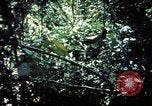 Image 25e Division d'infanterie troupes Vietnam, 1967, de la seconde 13 séquences d'archives historiques vidéo 65675052330