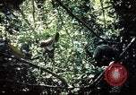 Image 25e Division d'infanterie troupes Vietnam, 1967, de la seconde 22 séquences d'archives historiques vidéo 65675052330