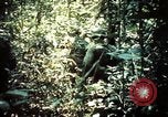 Image 25e Division d'infanterie troupes Vietnam, 1967, de la seconde 25 séquences d'archives historiques vidéo 65675052330