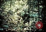 Image 25e Division d'infanterie troupes Vietnam, 1967, de la seconde 26 séquences d'archives historiques vidéo 65675052330