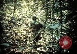Image 25e Division d'infanterie troupes Vietnam, 1967, de la seconde 27 séquences d'archives historiques vidéo 65675052330