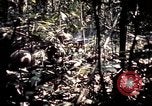 Image 25e Division d'infanterie troupes Vietnam, 1967, de la seconde 38 séquences d'archives historiques vidéo 65675052330