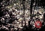 Image 25e Division d'infanterie troupes Vietnam, 1967, de la seconde 41 séquences d'archives historiques vidéo 65675052330