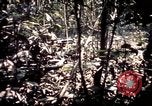 Image 25e Division d'infanterie troupes Vietnam, 1967, de la seconde 42 séquences d'archives historiques vidéo 65675052330