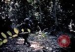 Image 25e Division d'infanterie troupes Vietnam, 1967, de la seconde 47 séquences d'archives historiques vidéo 65675052330