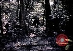 Image 25e Division d'infanterie troupes Vietnam, 1967, de la seconde 51 séquences d'archives historiques vidéo 65675052330
