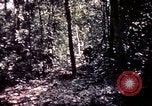 Image 25e Division d'infanterie troupes Vietnam, 1967, de la seconde 53 séquences d'archives historiques vidéo 65675052330
