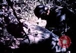 Image 25e Division d'infanterie troupes Vietnam, 1967, de la seconde 10 séquences d'archives historiques vidéo 65675052331