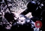 Image 25e Division d'infanterie troupes Vietnam, 1967, de la seconde 15 séquences d'archives historiques vidéo 65675052331