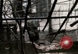 Image H Company 2e Bataillon 5e Marines Hue Vietnam, 1968, de la seconde 46 séquences d'archives historiques vidéo 65675052334