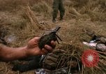 Image le personnel américain Saigon Vietnam, 1968, de la seconde 51 séquences d'archives historiques vidéo 65675052345