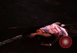 Immagine di Morti americani e vietnamita Saigon Vietnam, 1968, secondo 42 filmato di repertorio 65675052346