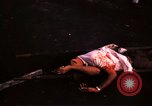Immagine di Morti americani e vietnamita Saigon Vietnam, 1968, secondo 43 filmato di repertorio 65675052346