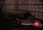 Immagine di Morti americani e vietnamita Saigon Vietnam, 1968, secondo 59 filmato di repertorio 65675052346
