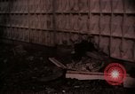 Immagine di Morti americani e vietnamita Saigon Vietnam, 1968, secondo 62 filmato di repertorio 65675052346