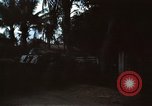 Immagine di Caduti soldati americani in offensiva del Tet Saigon Vietnam, 1968, secondo 31 filmato di repertorio 65675052347