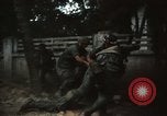 Immagine di Caduti soldati americani in offensiva del Tet Saigon Vietnam, 1968, secondo 49 filmato di repertorio 65675052347