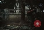 Immagine di Caduti soldati americani in offensiva del Tet Saigon Vietnam, 1968, secondo 52 filmato di repertorio 65675052347