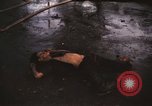 Immagine di Vietcong morto Saigon Vietnam, 1968, secondo 28 filmato di repertorio 65675052348