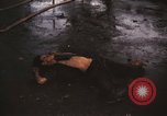Immagine di Vietcong morto Saigon Vietnam, 1968, secondo 29 filmato di repertorio 65675052348