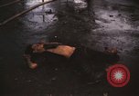 Immagine di Vietcong morto Saigon Vietnam, 1968, secondo 30 filmato di repertorio 65675052348