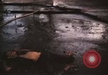 Immagine di Vietcong morto Saigon Vietnam, 1968, secondo 32 filmato di repertorio 65675052348