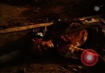 Immagine di Vietcong morto Saigon Vietnam, 1968, secondo 46 filmato di repertorio 65675052348