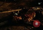 Immagine di Vietcong morto Saigon Vietnam, 1968, secondo 47 filmato di repertorio 65675052348