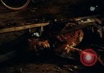 Immagine di Vietcong morto Saigon Vietnam, 1968, secondo 49 filmato di repertorio 65675052348