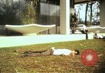 Immagine di Vietcong caduti in Embassy motivi Saigon Vietnam, 1968, secondo 1 filmato di repertorio 65675052350