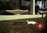 Immagine di Vietcong caduti in Embassy motivi Saigon Vietnam, 1968, secondo 5 filmato di repertorio 65675052350