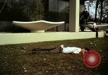 Immagine di Vietcong caduti in Embassy motivi Saigon Vietnam, 1968, secondo 7 filmato di repertorio 65675052350