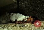 Immagine di Vietcong caduti in Embassy motivi Saigon Vietnam, 1968, secondo 27 filmato di repertorio 65675052350