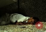 Immagine di Vietcong caduti in Embassy motivi Saigon Vietnam, 1968, secondo 28 filmato di repertorio 65675052350