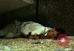 Immagine di Vietcong caduti in Embassy motivi Saigon Vietnam, 1968, secondo 35 filmato di repertorio 65675052350