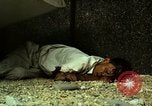 Immagine di Vietcong caduti in Embassy motivi Saigon Vietnam, 1968, secondo 36 filmato di repertorio 65675052350