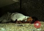 Immagine di Vietcong caduti in Embassy motivi Saigon Vietnam, 1968, secondo 37 filmato di repertorio 65675052350