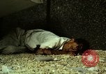 Immagine di Vietcong caduti in Embassy motivi Saigon Vietnam, 1968, secondo 40 filmato di repertorio 65675052350