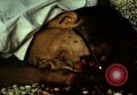 Immagine di Vietcong caduti in Embassy motivi Saigon Vietnam, 1968, secondo 45 filmato di repertorio 65675052350