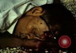 Immagine di Vietcong caduti in Embassy motivi Saigon Vietnam, 1968, secondo 46 filmato di repertorio 65675052350