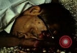 Immagine di Vietcong caduti in Embassy motivi Saigon Vietnam, 1968, secondo 48 filmato di repertorio 65675052350