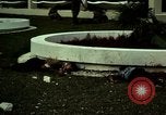 Immagine di Vietcong caduti in Embassy motivi Saigon Vietnam, 1968, secondo 51 filmato di repertorio 65675052350