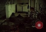 Immagine di Caduti soldati statunitensi in offensiva del Tet Saigon Vietnam, 1968, secondo 23 filmato di repertorio 65675052351