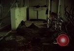 Immagine di Caduti soldati statunitensi in offensiva del Tet Saigon Vietnam, 1968, secondo 24 filmato di repertorio 65675052351