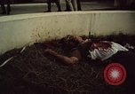 Immagine di Caduti soldati statunitensi in offensiva del Tet Saigon Vietnam, 1968, secondo 37 filmato di repertorio 65675052351