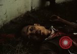 Immagine di Caduti soldati statunitensi in offensiva del Tet Saigon Vietnam, 1968, secondo 55 filmato di repertorio 65675052351