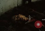 Immagine di Caduti soldati statunitensi in offensiva del Tet Saigon Vietnam, 1968, secondo 56 filmato di repertorio 65675052351