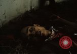 Immagine di Caduti soldati statunitensi in offensiva del Tet Saigon Vietnam, 1968, secondo 57 filmato di repertorio 65675052351