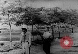 Image of Lyndon B Johnson Vietnam, 1964, second 49 stock footage video 65675052354
