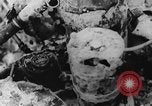 Image of A-4D wreckage North Vietnam, 1964, second 61 stock footage video 65675052355